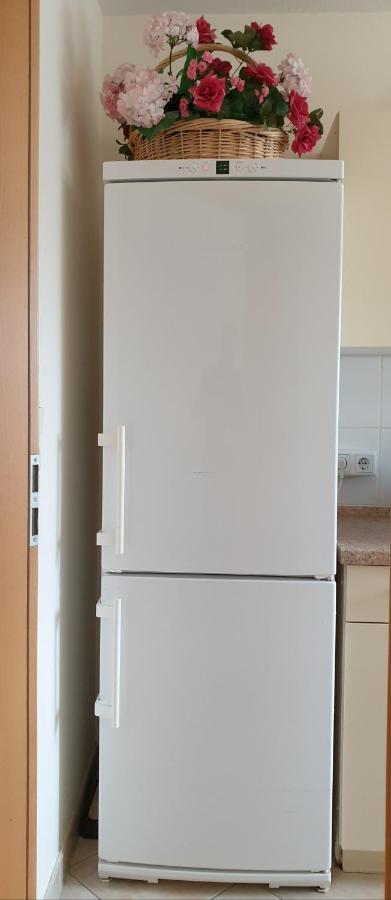 Ferienwohnung Maria - Bad Kissingen Dış mekan fotoğraf